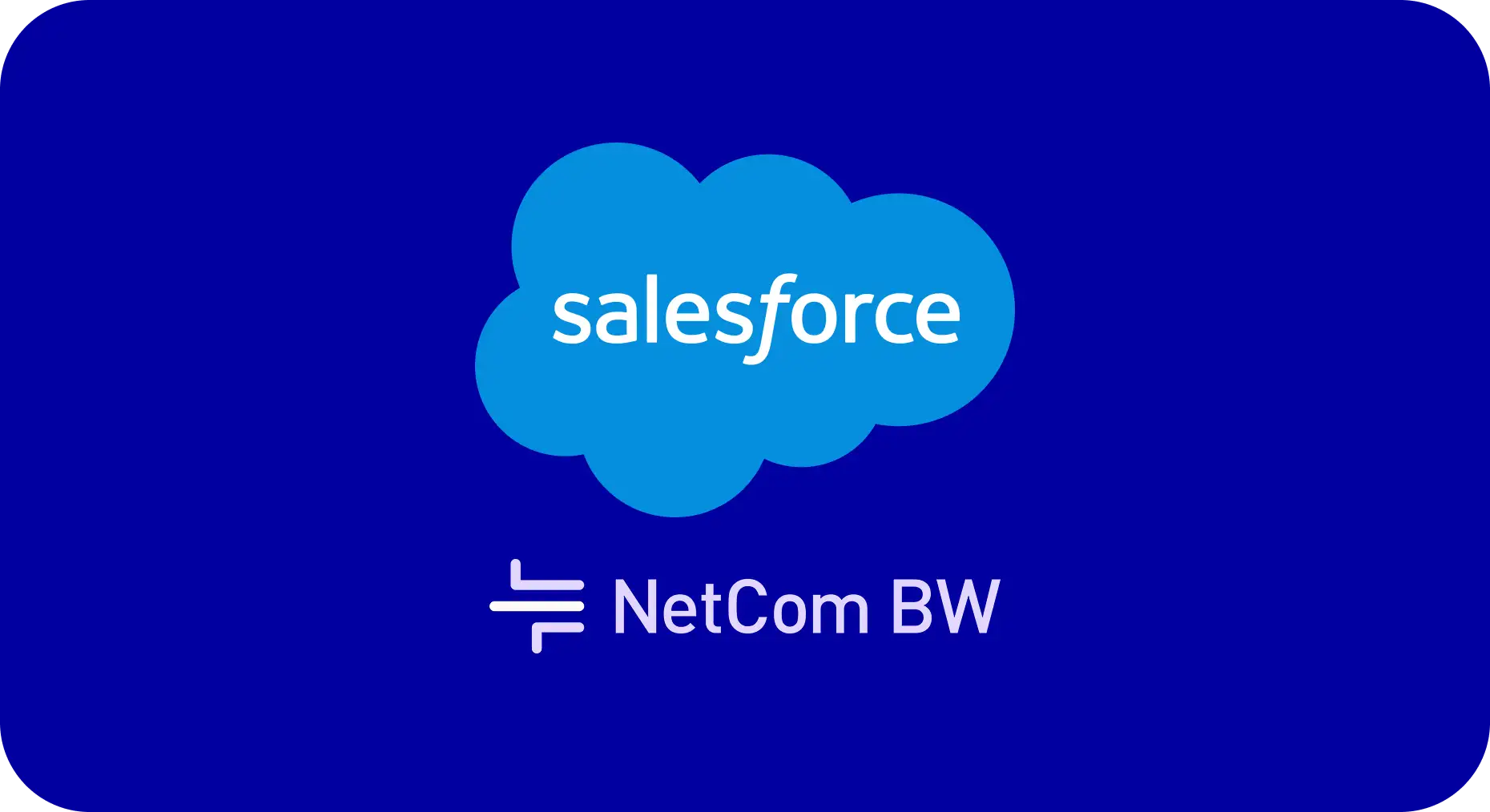 Netcom project cover