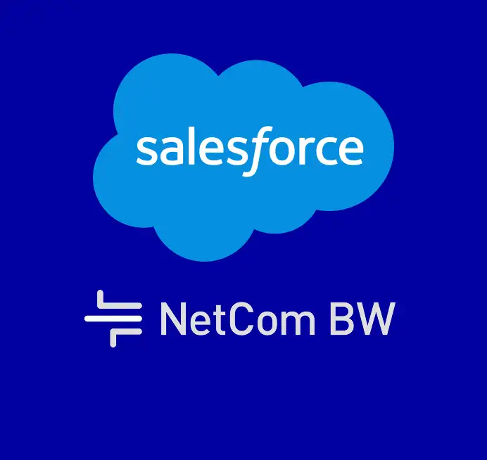 Netcom project preview