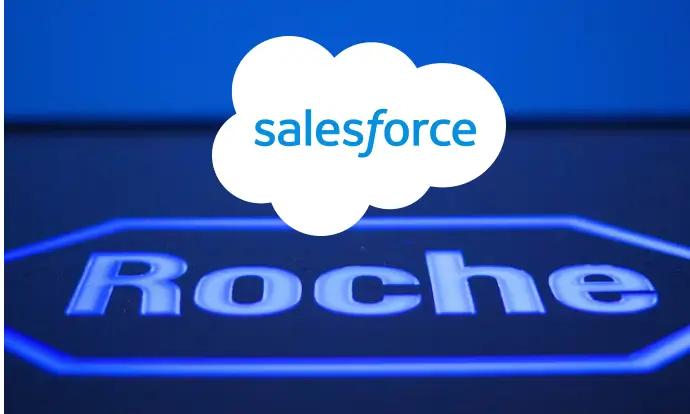 Roche project preview