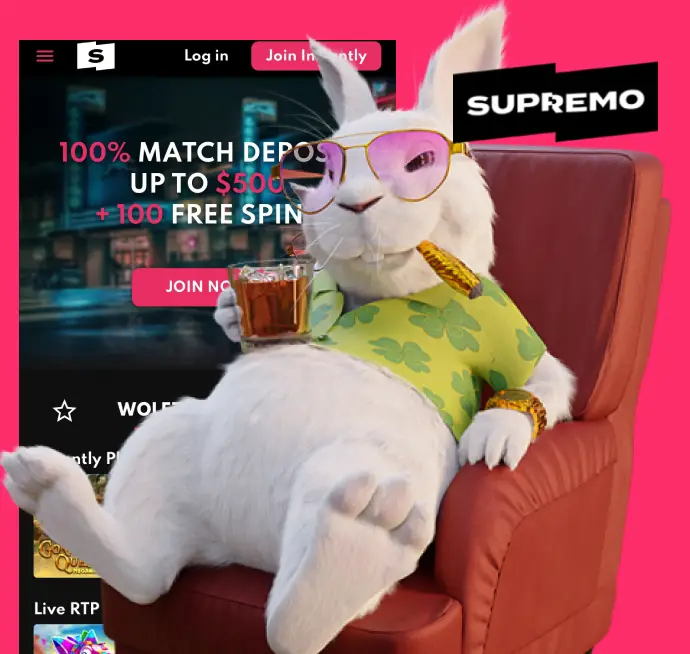 Supremo project preview
